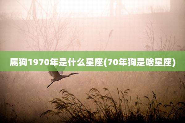 属狗1970年是什么星座(70年狗是啥星座)