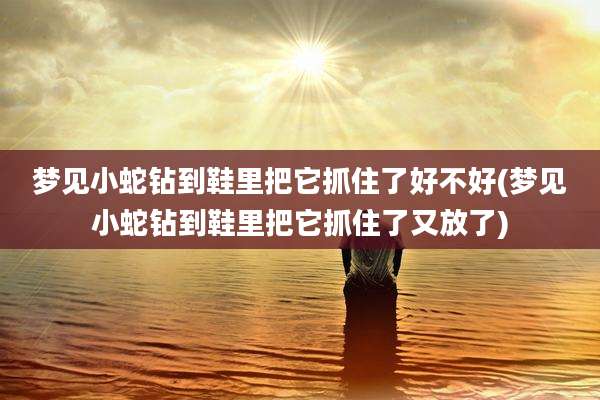 梦见小蛇钻到鞋里把它抓住了好不好(梦见小蛇钻到鞋里把它抓住了又放了)