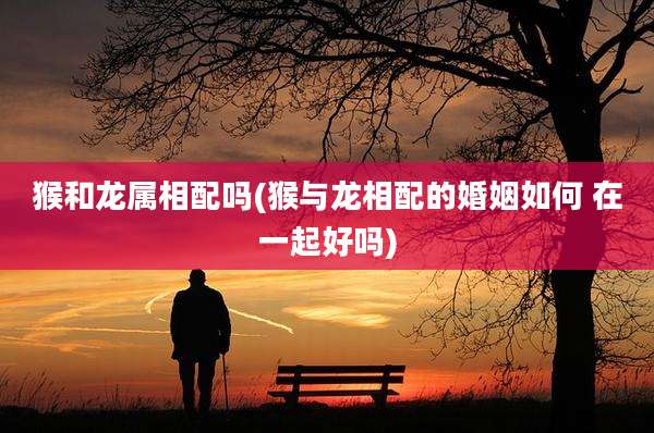 猴和龙属相配吗(猴与龙相配的婚姻如何 在一起好吗)