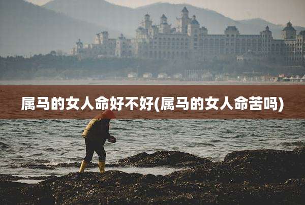 属马的女人命好不好(属马的女人命苦吗)