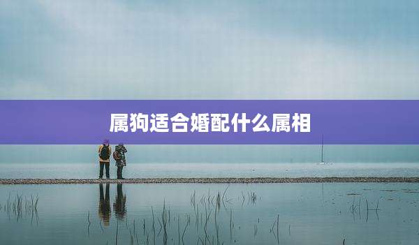 属狗适合婚配什么属相
