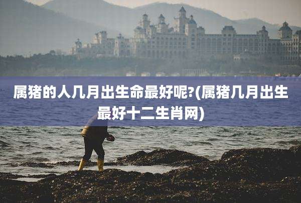 属猪的人几月出生命最好呢?(属猪几月出生最好十二生肖网)
