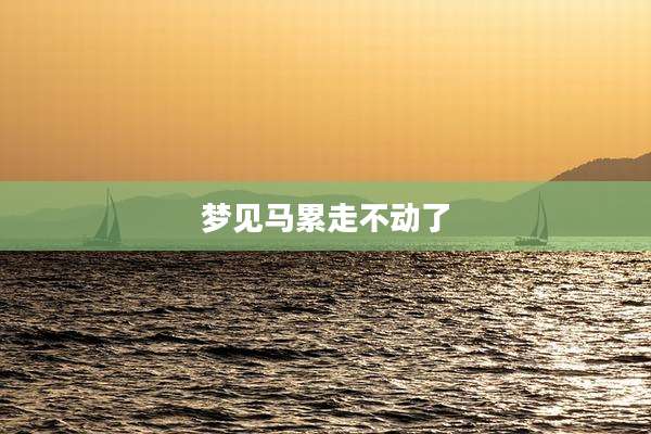 梦见马累走不动了