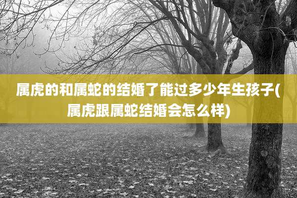 属虎的和属蛇的结婚了能过多少年生孩子(属虎跟属蛇结婚会怎么样)