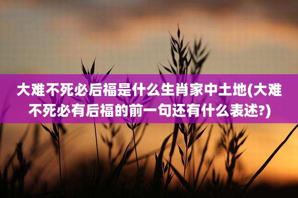 大难不死必后福是什么生肖家中土地(大难不死必有后福的前一句还有什么表述?)