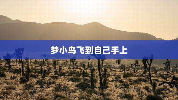 梦小鸟飞到自己手上