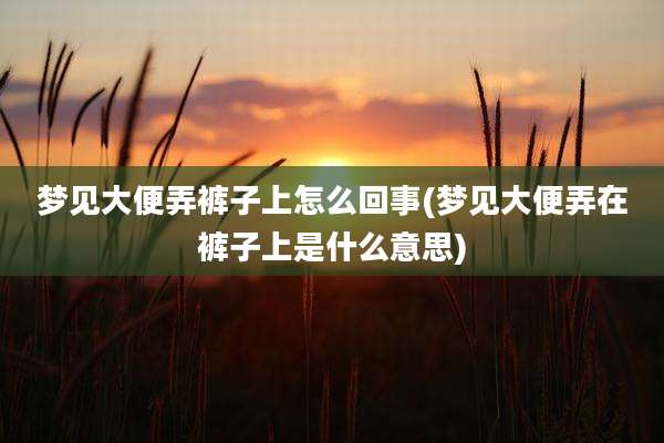 梦见大便弄裤子上怎么回事(梦见大便弄在裤子上是什么意思)