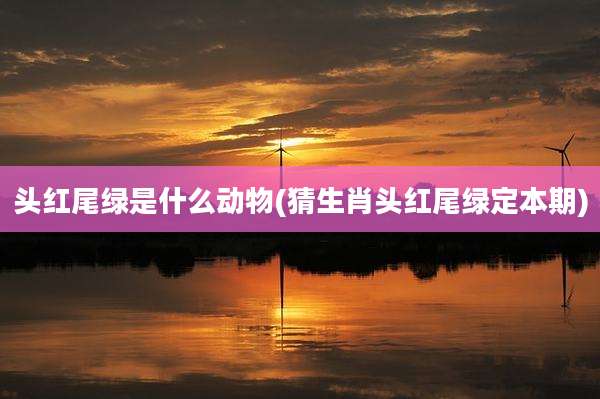 头红尾绿是什么动物(猜生肖头红尾绿定本期)