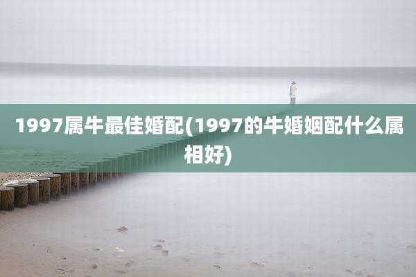 1997属牛最佳婚配(1997的牛婚姻配什么属相好)