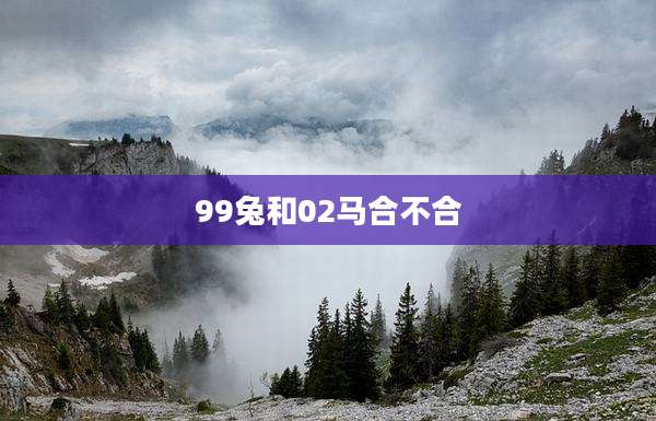99兔和02马合不合
