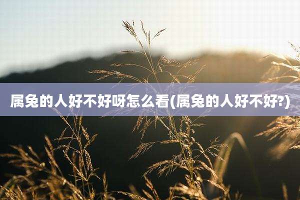 属兔的人好不好呀怎么看(属兔的人好不好?)