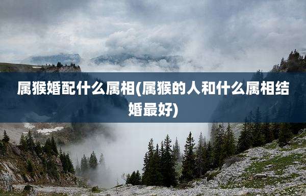 属猴婚配什么属相(属猴的人和什么属相结婚最好)