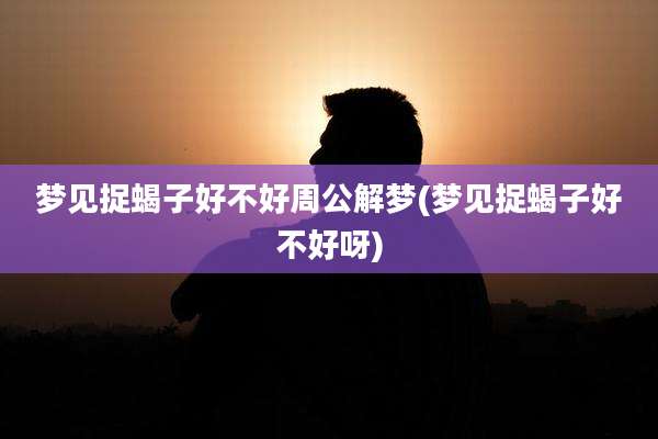 梦见捉蝎子好不好周公解梦(梦见捉蝎子好不好呀)