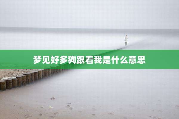 梦见好多狗跟着我是什么意思