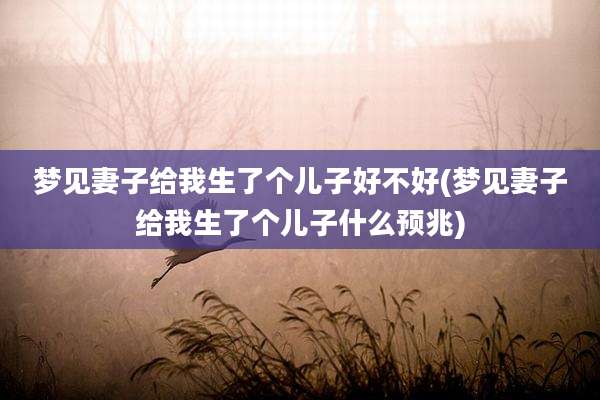 梦见妻子给我生了个儿子好不好(梦见妻子给我生了个儿子什么预兆)
