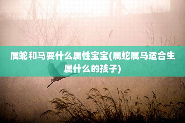 属蛇和马要什么属性宝宝(属蛇属马适合生属什么的孩子)