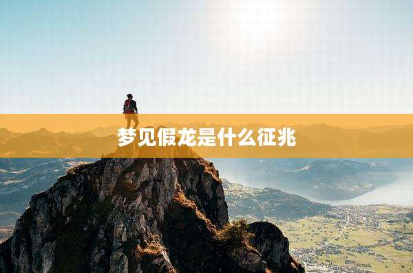 梦见假龙是什么征兆