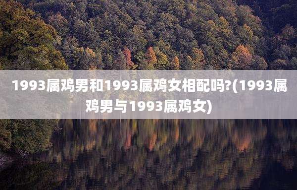 1993属鸡男和1993属鸡女相配吗?(1993属鸡男与1993属鸡女)