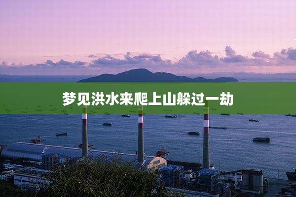 梦见洪水来爬上山躲过一劫