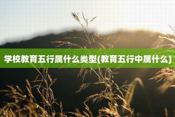 学校教育五行属什么类型(教育五行中属什么)