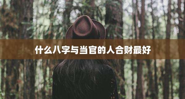 什么八字与当官的人合财最好
