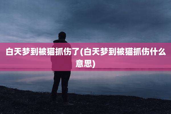 白天梦到被猫抓伤了(白天梦到被猫抓伤什么意思)