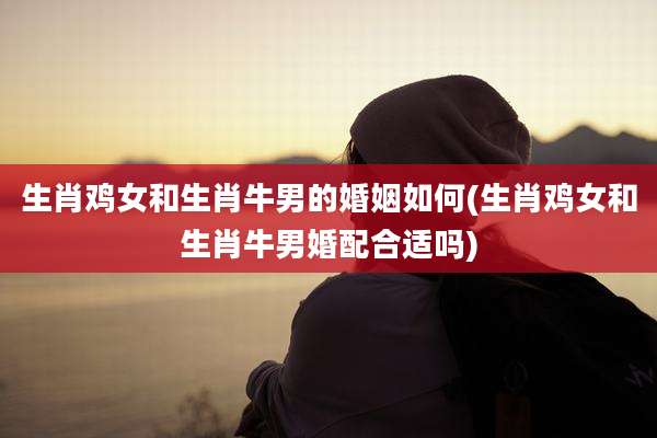 生肖鸡女和生肖牛男的婚姻如何(生肖鸡女和生肖牛男婚配合适吗)