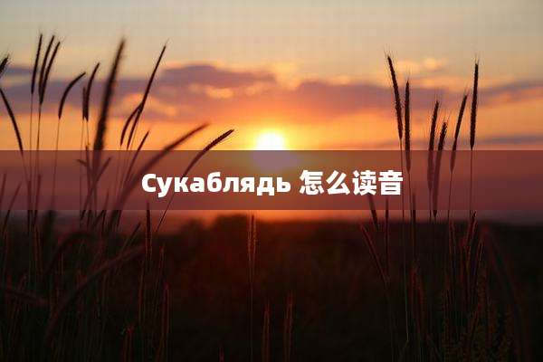 Сукаблядь 怎么读音