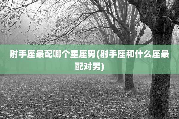 射手座最配哪个星座男(射手座和什么座最配对男)
