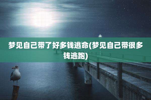 梦见自己带了好多钱逃命(梦见自己带很多钱逃跑)