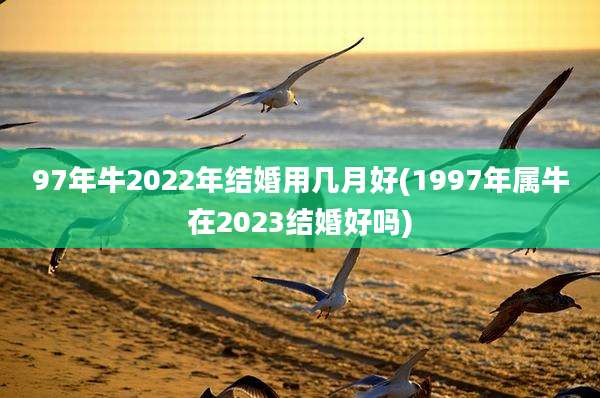 97年牛2022年结婚用几月好(1997年属牛在2023结婚好吗)