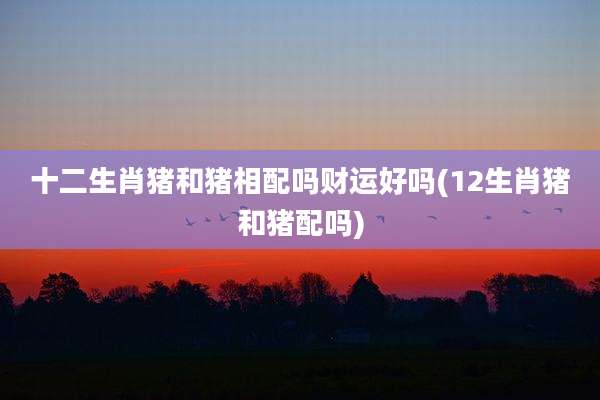 十二生肖猪和猪相配吗财运好吗(12生肖猪和猪配吗)