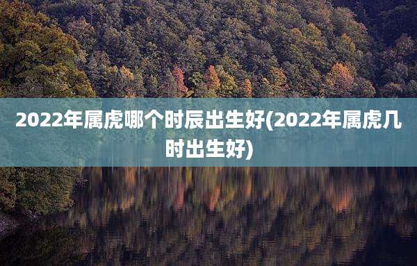 2022年属虎哪个时辰出生好(2022年属虎几时出生好)