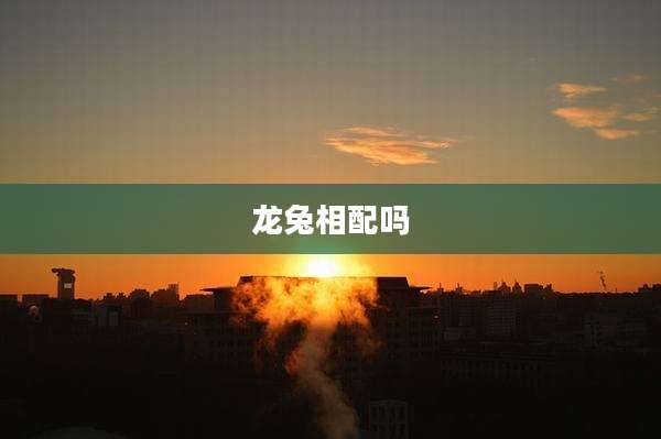 龙兔相配吗