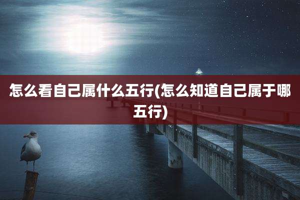 怎么看自己属什么五行(怎么知道自己属于哪五行)
