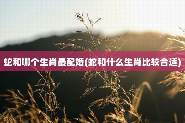 蛇和哪个生肖最配婚(蛇和什么生肖比较合适)