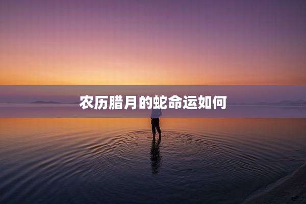 农历腊月的蛇命运如何