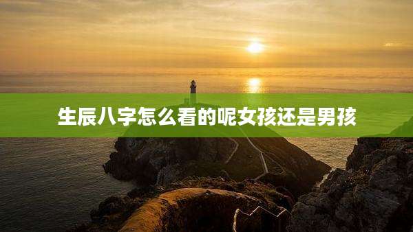 生辰八字怎么看的呢女孩还是男孩