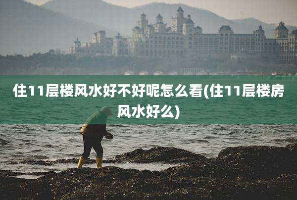 住11层楼风水好不好呢怎么看(住11层楼房风水好么)