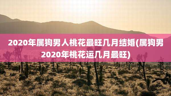 2020年属狗男人桃花最旺几月结婚(属狗男2020年桃花运几月最旺)