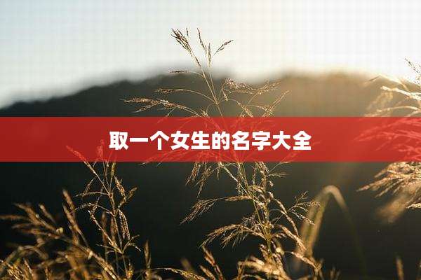 取一个女生的名字大全