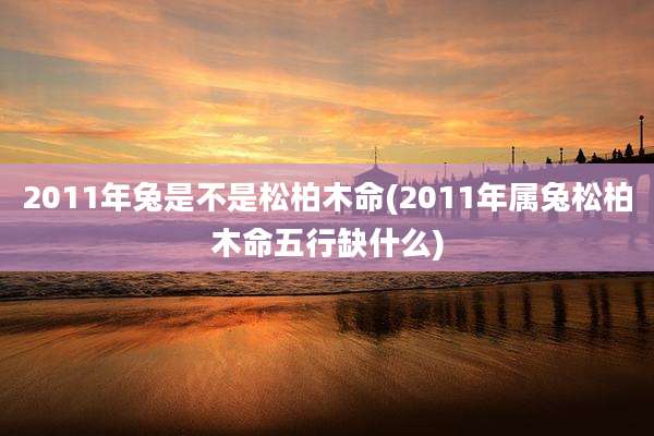 2011年兔是不是松柏木命(2011年属兔松柏木命五行缺什么)