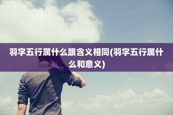 羽字五行属什么跟含义相同(羽字五行属什么和意义)