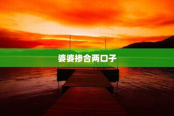 婆婆掺合两口子