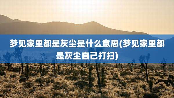 梦见家里都是灰尘是什么意思(梦见家里都是灰尘自己打扫)