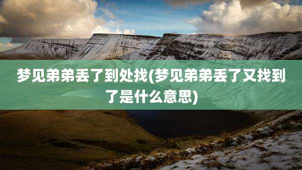 梦见弟弟丢了到处找(梦见弟弟丢了又找到了是什么意思)