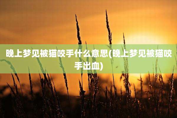 晚上梦见被猫咬手什么意思(晚上梦见被猫咬手出血)