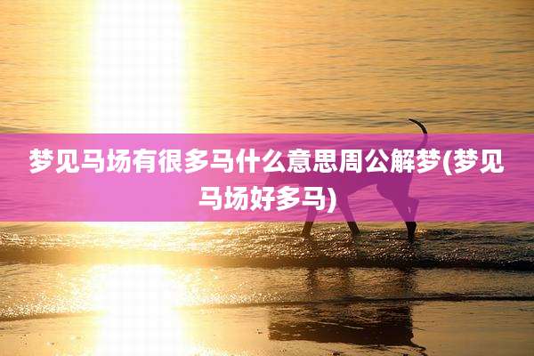 梦见马场有很多马什么意思周公解梦(梦见马场好多马)
