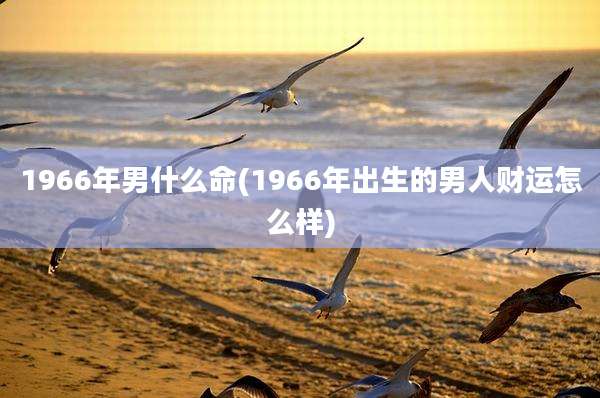 1966年男什么命(1966年出生的男人财运怎么样)