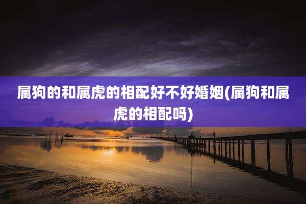 属狗的和属虎的相配好不好婚姻(属狗和属虎的相配吗)